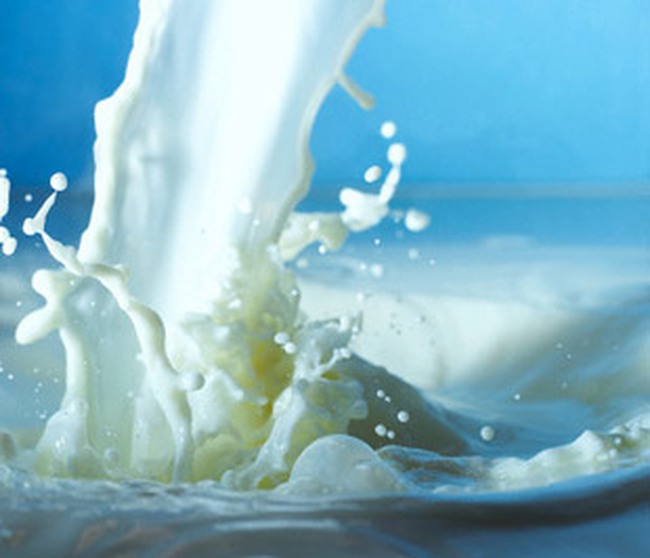 Chi 296 triệu USD để nhập khẩu sữa và sản phẩm sữa