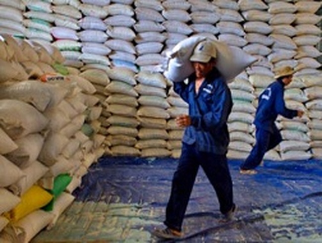  Điều hành tạm trữ lúa gạo: Hiệp hội "nhường" cho địa phương