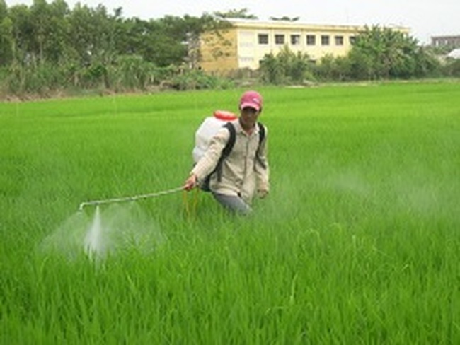 Lo ngại thuốc trừ sâu neonicotinoid sẽ vào Việt Nam