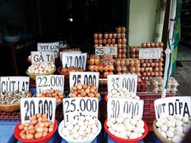 Vì sao giá trứng gia cầm ở chợ gấp đôi ở trại