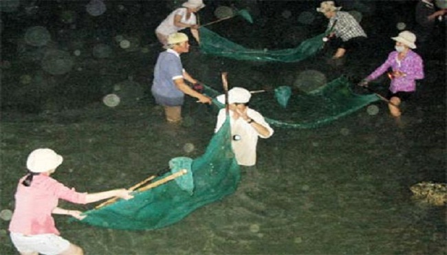 Người dân trúng đậm cá chình trên sông Cái