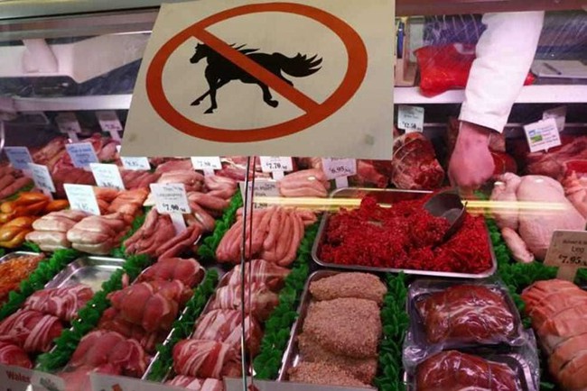 Cảnh báo thịt ngựa nhập khẩu từ châu Mỹ nhiễm kháng sinh liều cao