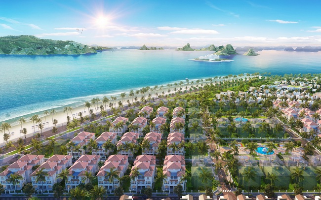 Khám phá sắc xanh tại Mallorca - Sun Grand City Feria Khám phá sắc xanh tại Mallorca - Sun Grand City Feria