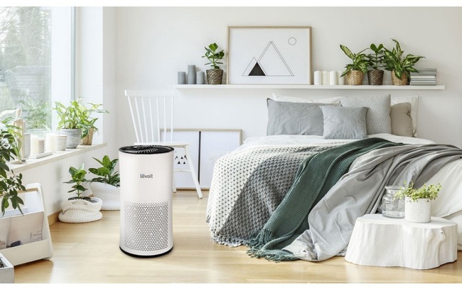 Bảo vệ sức khỏe cùng máy lọc không khí Levoit Bảo vệ sức khỏe cùng máy lọc không khí Levoit