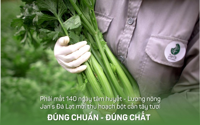 Bột cần tây Jan’s - Sản phẩm của tình yêu nông nghiệp Việt Bột cần tây Jan’s - Sản phẩm của tình yêu nông nghiệp Việt