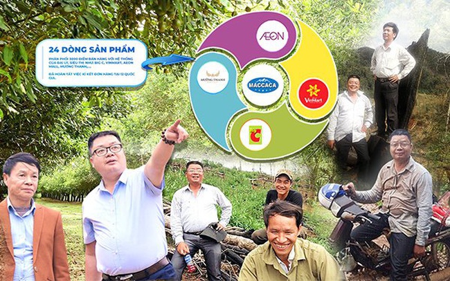 Maccaca – Thương hiệu đang trên đà phát triển Maccaca – Thương hiệu đang trên đà phát triển