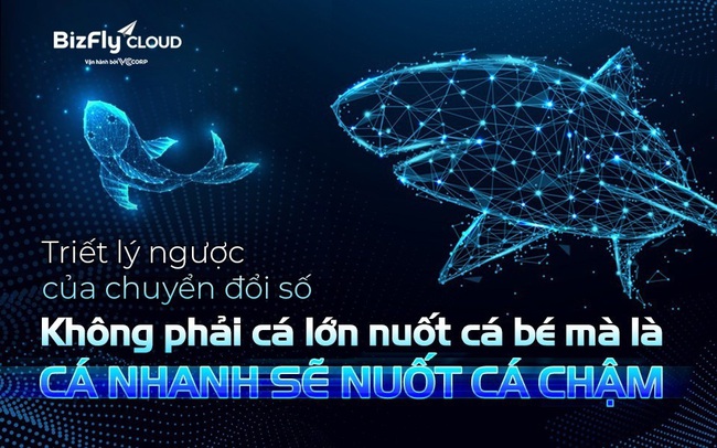 Triết lý ngược của chuyển đổi số: Không phải cá lớn nuốt cá bé mà là cá nhanh sẽ nuốt cá chậm Triết lý ngược của chuyển đổi số: Không phải cá lớn nuốt cá bé mà là cá nhanh sẽ nuốt cá chậm