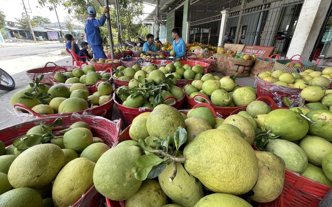 Gỡ khó để nông sản ĐBSCL ‘cất cánh’ vươn xa Gỡ khó để nông sản ĐBSCL ‘cất cánh’ vươn xa