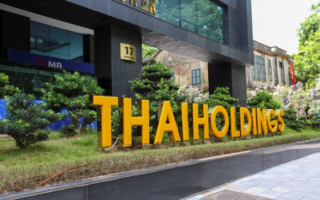Nhận lại dự án 11A Cát Linh, Thaiholdings điều chỉnh lợi nhuận năm 2021