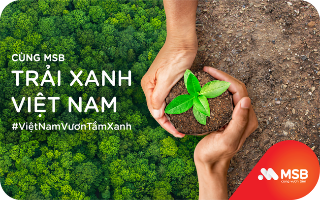 MSB và hành trình trải xanh Việt Nam MSB và hành trình trải xanh Việt Nam