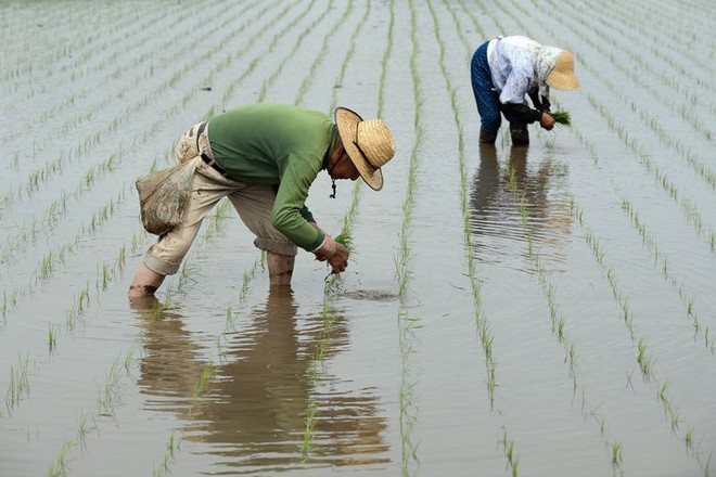 Thiếu lao động phổ thông trầm trọng, Nhật Bản tìm đến lao động bất hợp pháp