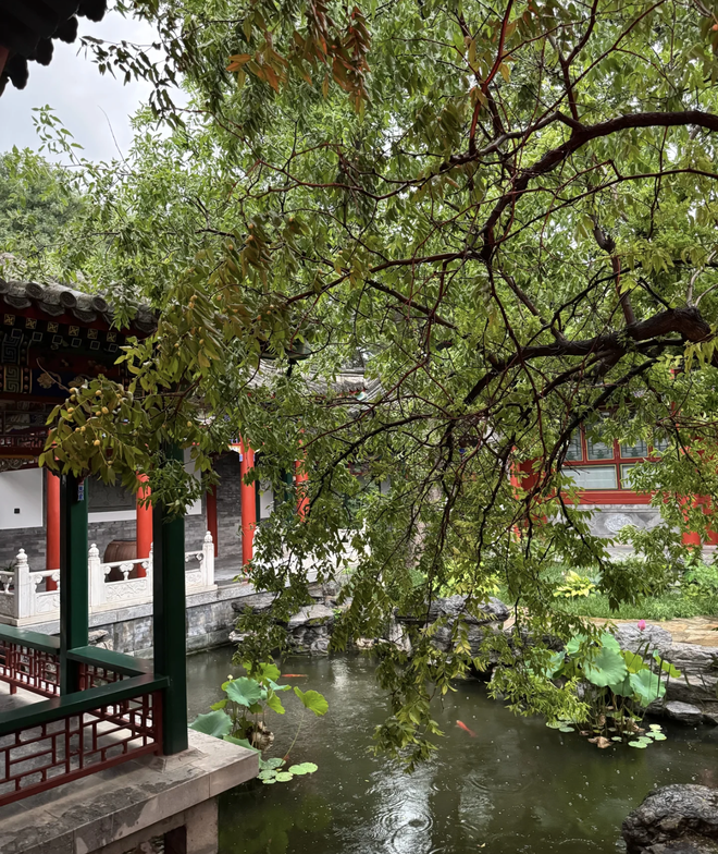 MC giàu nhất showbiz khoe ảnh 1 trong số 70 ngôi nhà đang sở hữu: biệt phủ rộng 600 m2, đẹp đến mức tưởng địa điểm tham quan, kiến trúc xa hoa như hoàng cung- Ảnh 3.