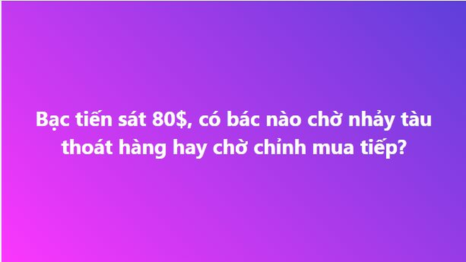 Bạc tăng 5% vượt mốc 80 triệu đồng/kg, các hội nhóm đầu tư bắt đầu sôi động trở lại - Ảnh 4.