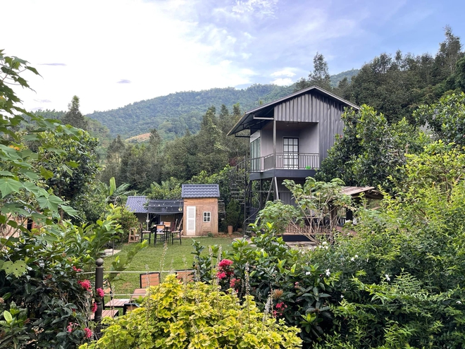 Việt Nam có 3 "ông hoàng nhạc đỏ" nổi đình đám: Người “lẻ bóng” trong cơ ngơi 10.000m2, người sống kín tiếng, viên mãn ở tuổi U60 - Ảnh 7.