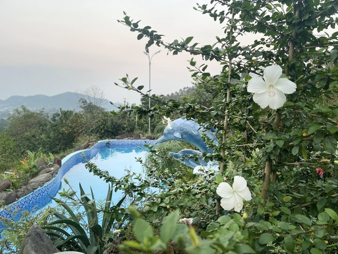 Việt Nam có 3 "ông hoàng nhạc đỏ" nổi đình đám: Người “lẻ bóng” trong cơ ngơi 10.000m2, người sống kín tiếng, viên mãn ở tuổi U60 - Ảnh 6.