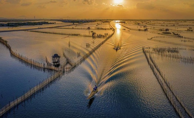 Phát hiện hệ đầm phá nước lợ thuộc dạng hiếm trên thế giới ở tỉnh miền Trung: Diện tích lớn nhất Đông Nam Á, liên kết trực tiếp với rừng nguyên sinh ngập mặn - Ảnh 3.