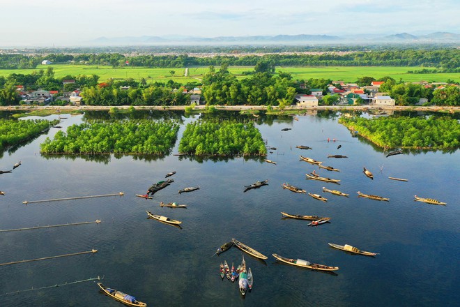 Phát hiện hệ đầm phá nước lợ thuộc dạng hiếm trên thế giới ở tỉnh miền Trung: Diện tích lớn nhất Đông Nam Á, liên kết trực tiếp với rừng nguyên sinh ngập mặn - Ảnh 5.
