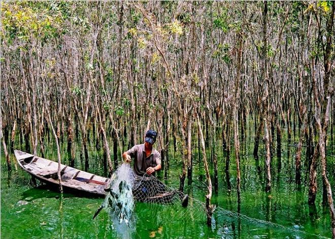 Việt Nam có khu rừng thuộc dạng hiếm bậc nhất thế giới, chia đôi bởi 1 dòng sông, 3 tổ chức cùng vinh danh- Ảnh 6.