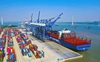 Xuất nhập khẩu tăng trưởng bất chấp Covid-19, cổ phiếu Logistic “dậy sóng” trong năm 2020
