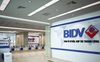 BIDV rao bán hơn 800 m2 đất giữa trung tâm Hà Nội để thu nợ, giá khởi điểm 98 tỷ