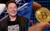 Elon Musk đã khiến giá bitcoin tăng chóng mặt