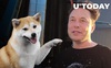 Sự nguy hiểm đằng sau cơn sốt tiền ảo Shiba Inu