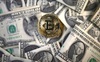 USD tăng mạnh so với tất cả các tiền tệ Á – Âu, Bitcoin kết thúc tuần tồi tệ nhất 6 tháng