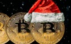 Nhà đầu tư Bitcoin nhận quà Noel lớn