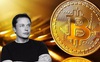 Elon Musk: Bitcoin đỡ 