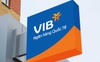 Duy trì đà tăng trưởng top đầu toàn ngành, VIB dự kiến chia cổ phiếu thưởng 40% trong năm 2021