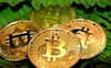 Bitcoin lần đầu tiên vượt mốc 44.000 USD