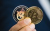 Từ Bitcoin đến Dogecoin: Động lực thực sự thúc đẩy đà tăng là gì và đâu là tương lai của thị trường tiền số?