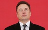 'Giấc mộng Trung Hoa' sớm nở tối tàn của Elon Musk