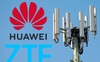 Mỹ chốt phương án loại bỏ và thay thế thiết bị viễn thông Huawei, ZTE