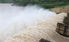 Agribank rao bán khoản nợ