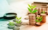 Cổ phiếu ngân hàng tiếp tục tăng mạnh, TPB vượt đỉnh lịch sử, một mình VCB 