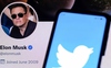 Nhà đầu tư có bao nhiêu tiền nếu rót 1.000 USD vào cổ phiếu Twitter từ năm 2013?