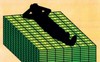 Người dân Mỹ đang nắm giữ gần 5 nghìn tỷ USD tiền mặt trong tay