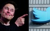 Elon Musk lập thăm dò cho ông Trump trở lại Twitter