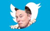 Hùng hổ đuổi người, Twitter dưới thời Elon Musk đang phải năn nỉ một số nhân viên trở lại làm