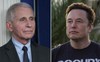 Elon Musk kêu gọi truy tố cố vấn trưởng của Tổng thống Biden