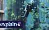 Những điều cần biết về vụ nổ thủy cung hình trụ lớn nhất thế giới tại Đức