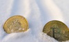 Giữa căng thẳng địa chính trị và lãi suất tăng, tương lai của Bitcoin sẽ đi về đâu?