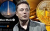 Nếu bị 'đau tim' vì Bitcoin thì bạn không hề đơn độc: Tesla đang nắm 2 tỷ USD Bitcoin, hiện đã lỗ 101 triệu USD
