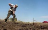 20%-30% diện tích trồng trọt ở Ukraine bị ảnh hưởng, đã có quốc gia châu Âu 