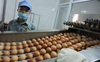 Thiếu trầm trọng nhưng Hàn Quốc phải chi số tiền lớn tiêu hủy 21 triệu quả trứng nhập khẩu vì