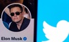 Elon Musk: ‘Tôi mua Twitter không phải để kiếm tiền’