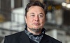 NÓNG: Elon Musk mua chui cổ phiếu Twitter, hưởng lợi 1,1 tỷ USD