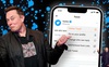 Đây là việc đầu tiên Elon Musk làm sau khi nắm quyền tại Twitter