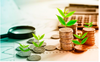 Đòi hỏi về trách nhiệm thẩm định, cấp phép cho doanh nghiệp phát hành riêng lẻ là sai!